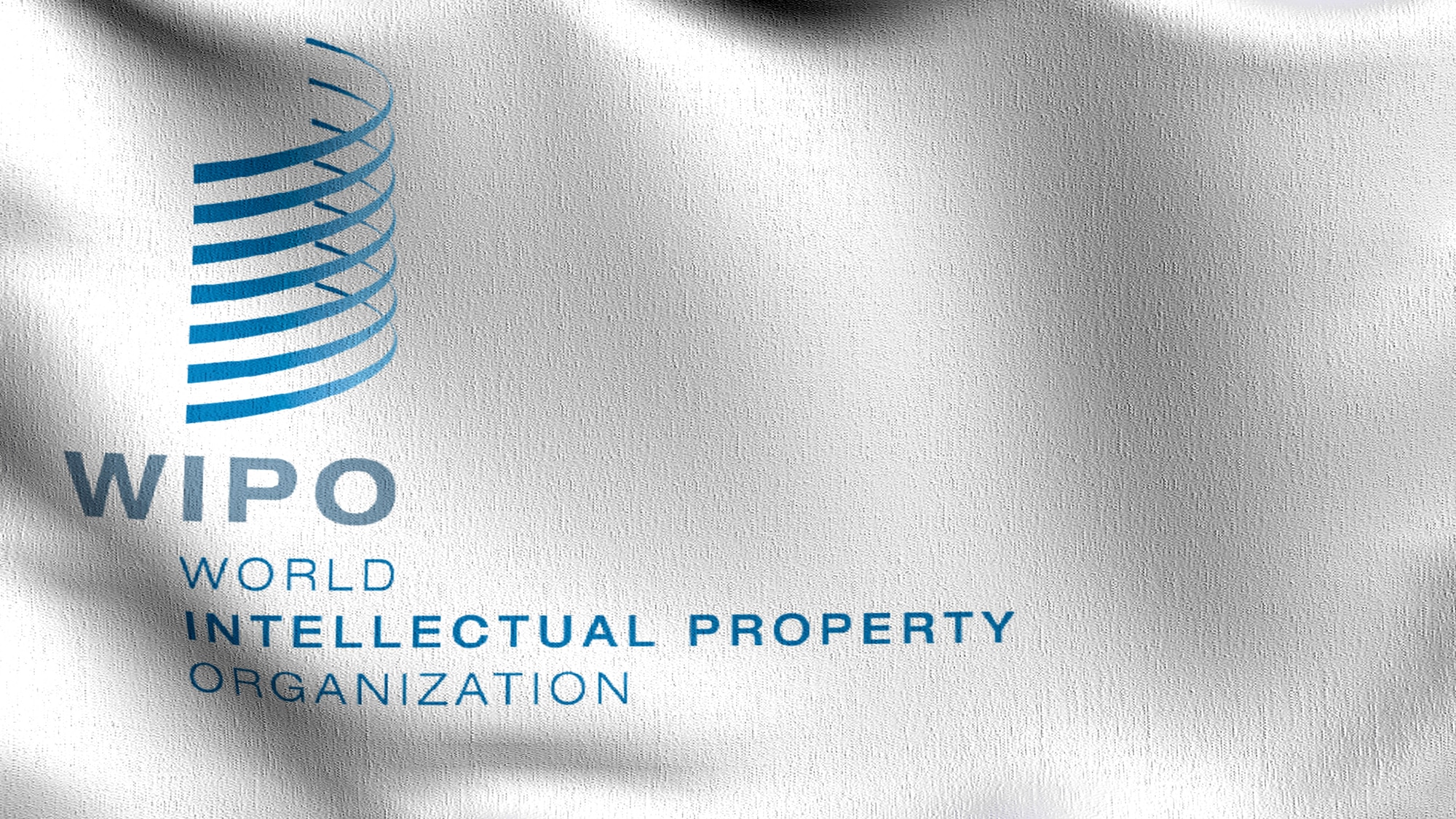 WIPO IP Protection Role