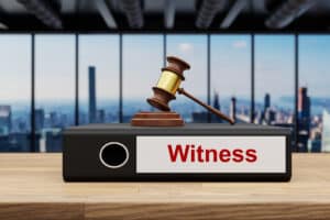Expert Witness