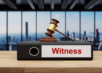 Expert Witness