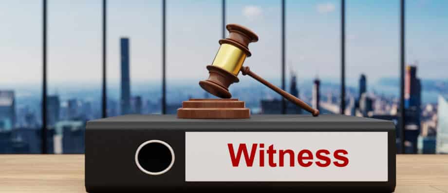 Expert Witness