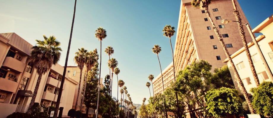 Los Angeles Trust Lawyer